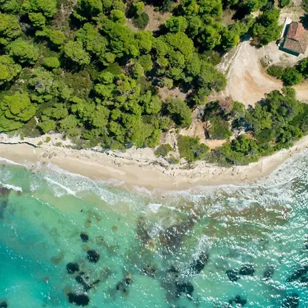 فيلة #Villa Olivia By Halu! Villas